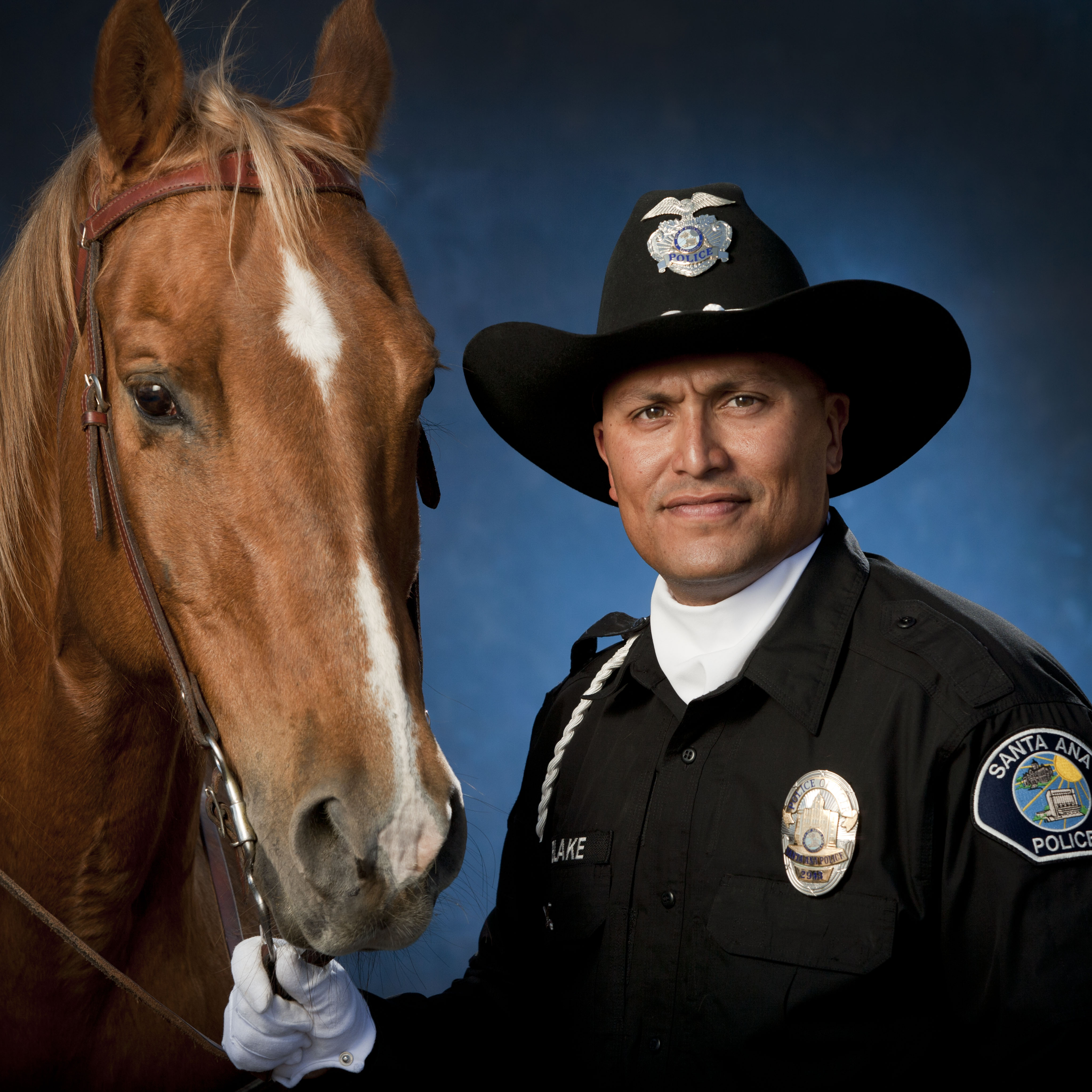 Beloved 'Zeus' of Santa Ana Police mounted unit dies at 21 - MyNewsLA.com