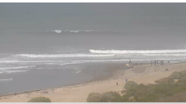 Lower Trestles beach in San Clemente. Image capture from http://www.surfline.com/surf-report/lower-trestles-southern-california_4740/