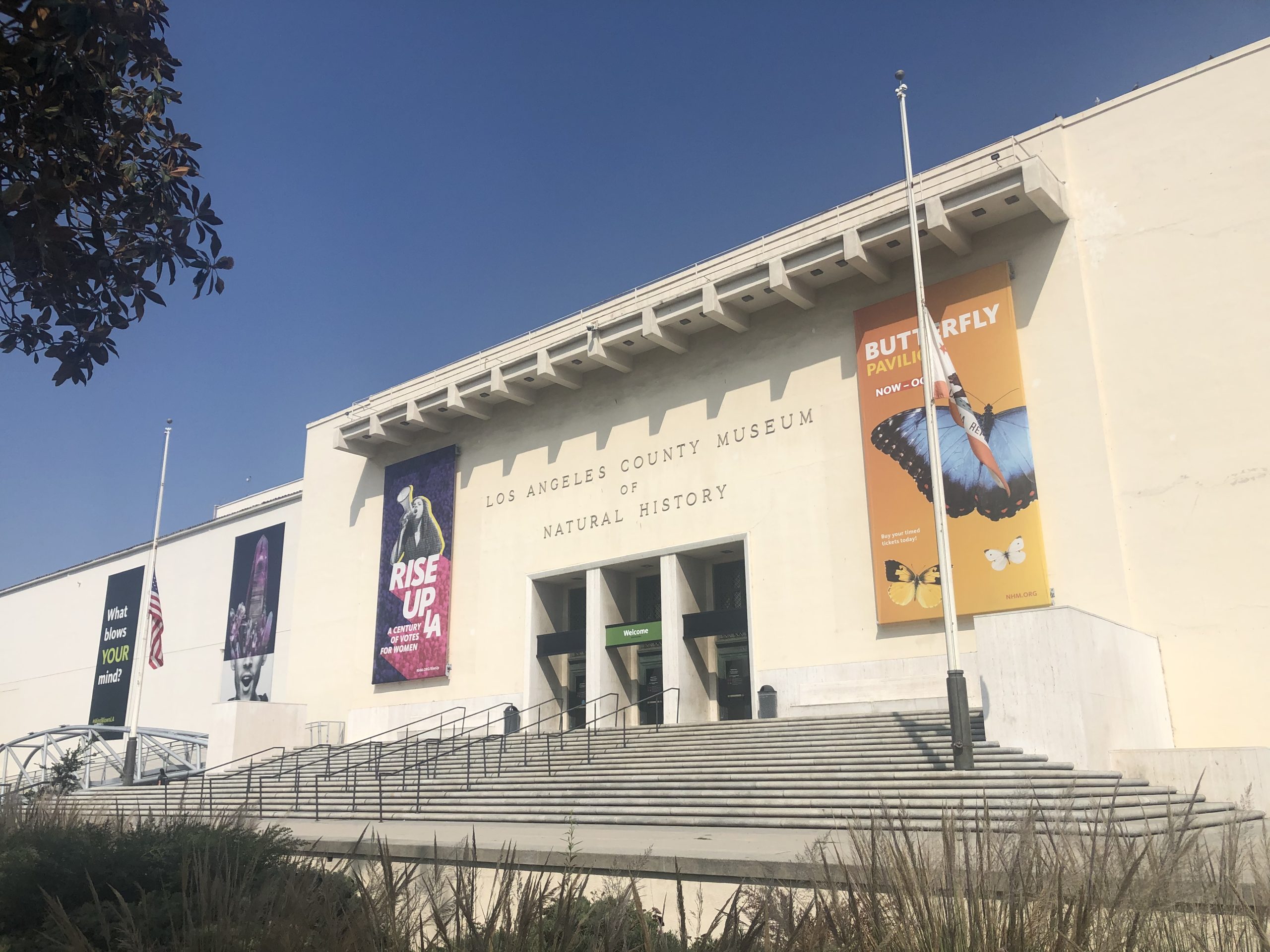 Orca Exhibit Debuts at Natural History Museum – MyNewsLA.com