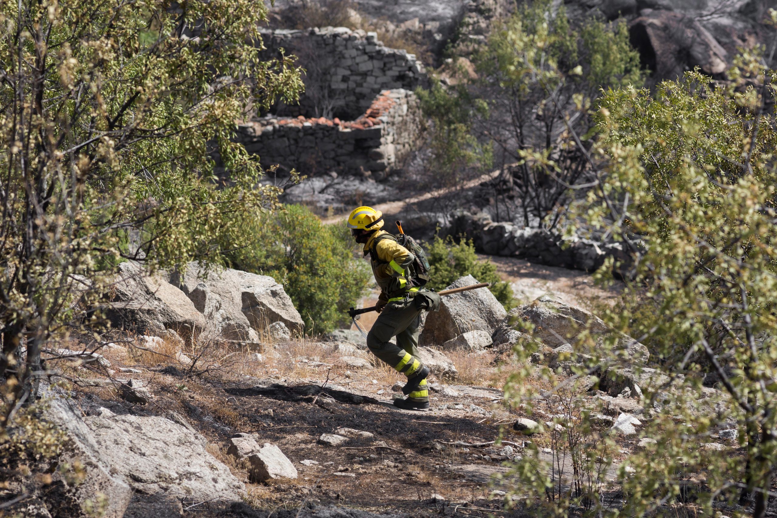 LAFD Rescues Hiker After 30-Foot Fall at Stoney Point Park - MyNewsLA.com