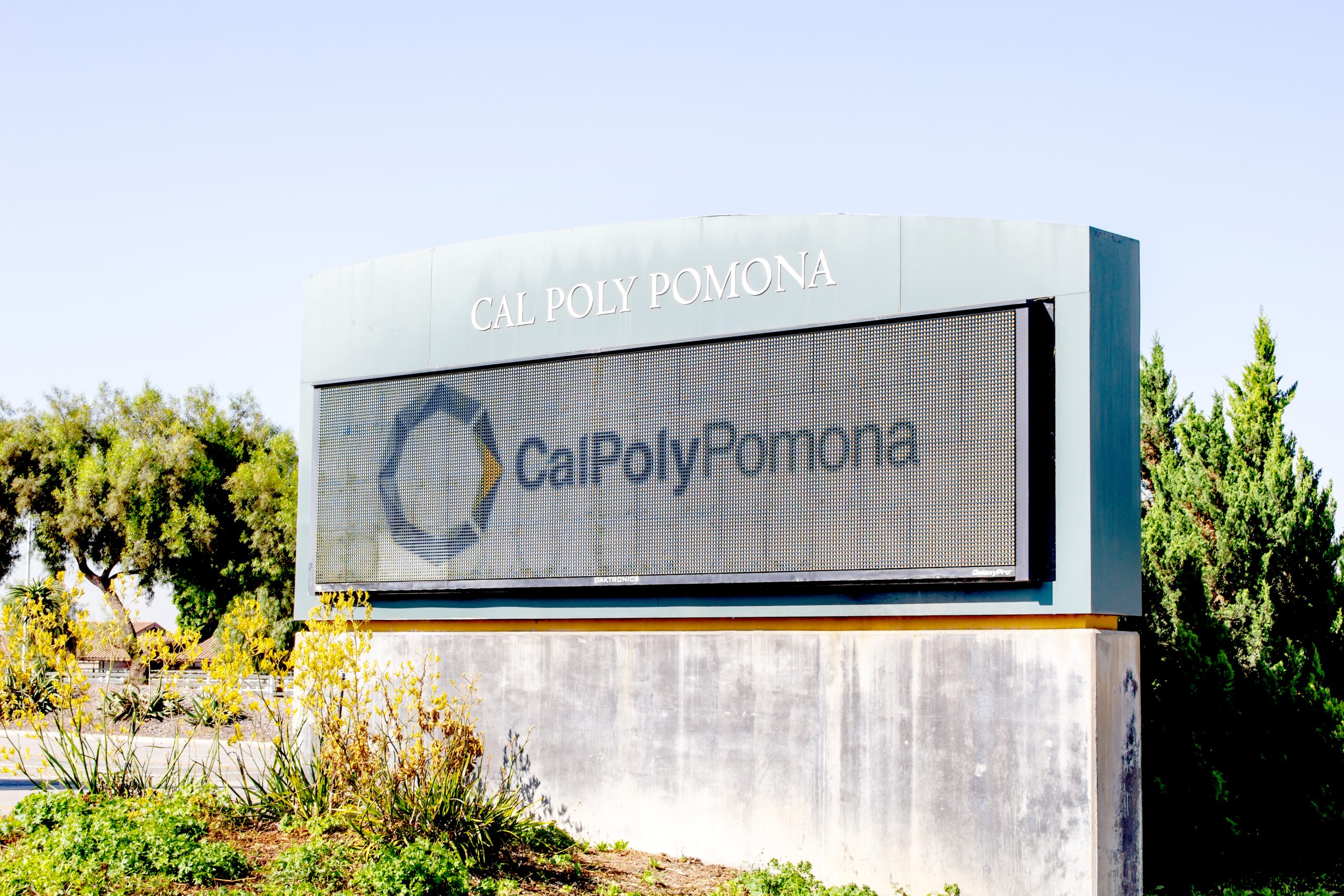 Black Former Cal Poly Pomona Exec Sues For Age, Race Discrimination ...