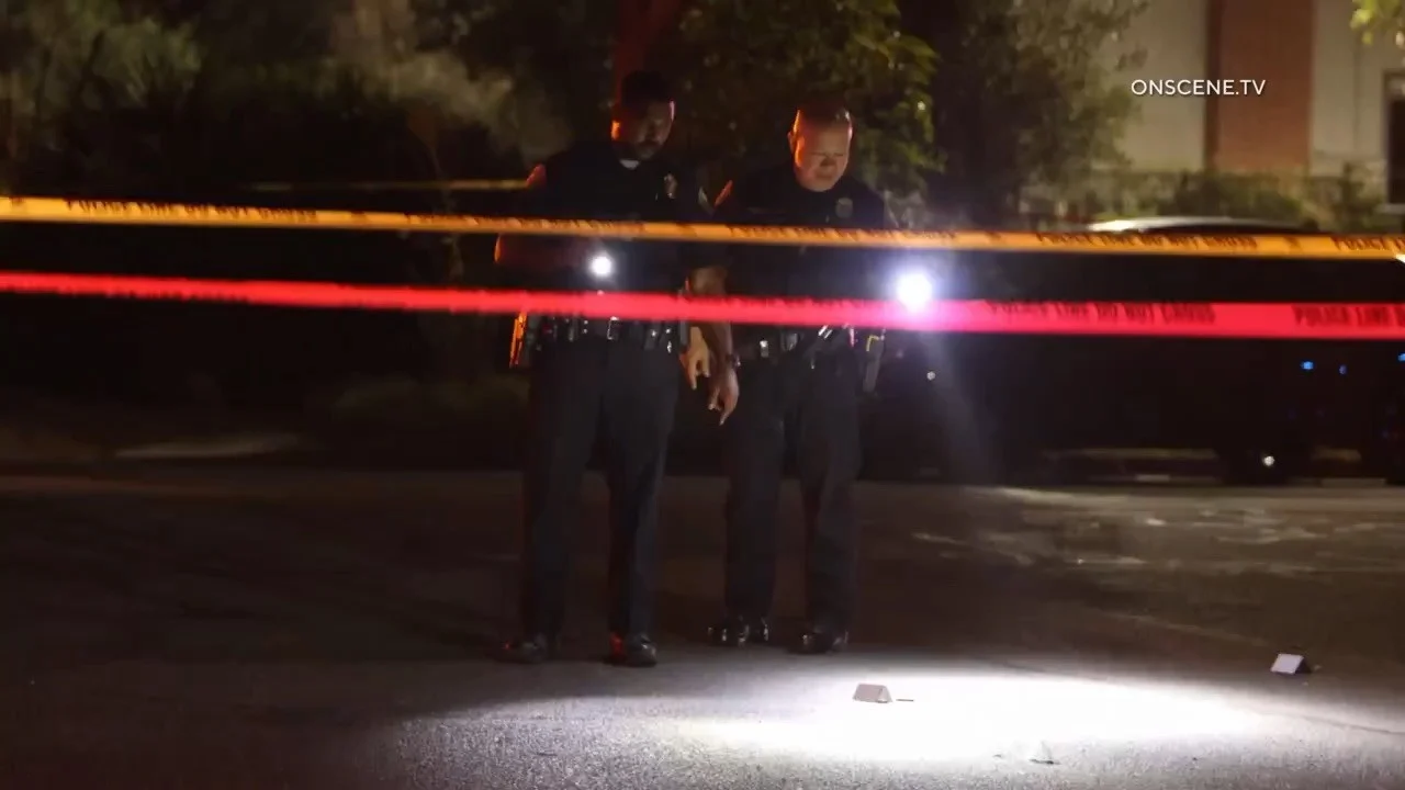 Assault News Image